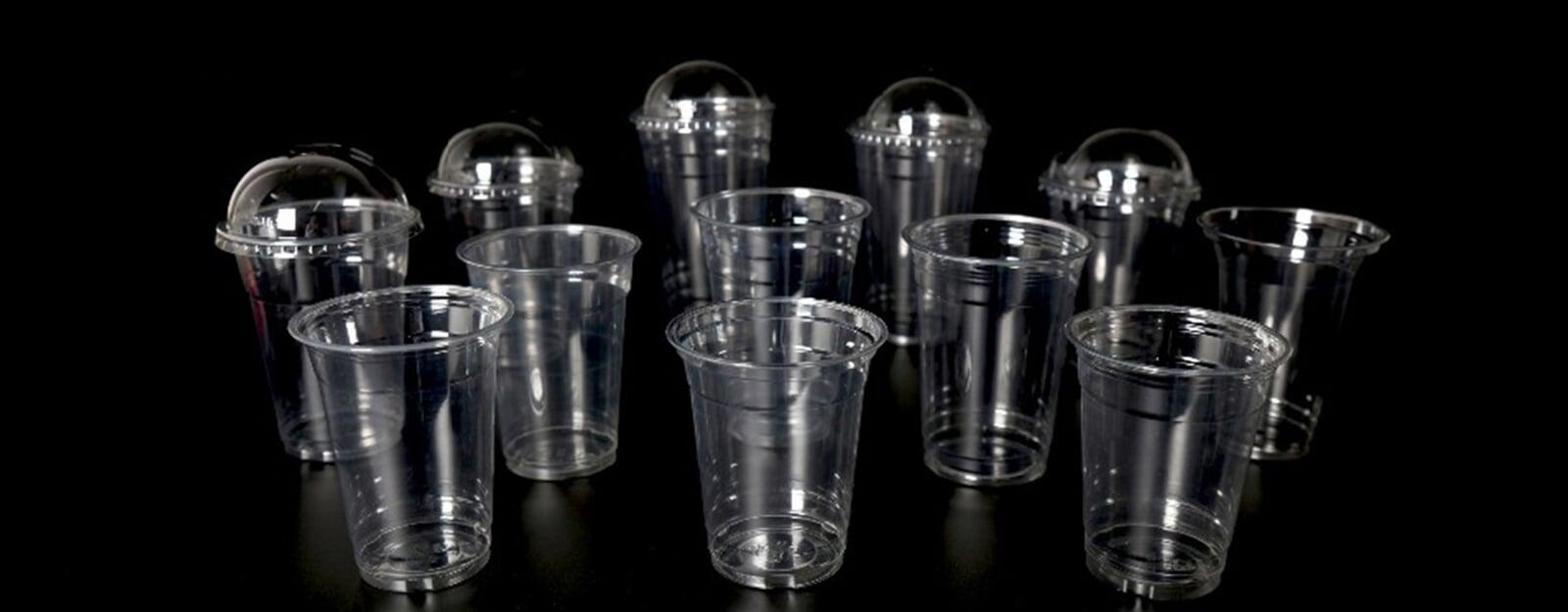 eco cups
