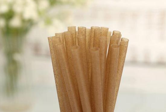 sugarcane straws
