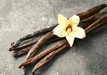 Spero, USA, vanillin from corn fibers