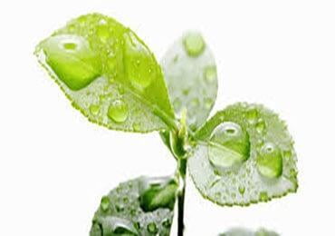 Apparel brands love bio-based!