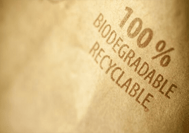 What's the use of the annoying fly? Biodegradable bioplastic made to benefit seafood allergy sufferers.