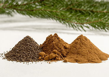 U. S. researchers develop a method for converting lignin into sustainable plastics