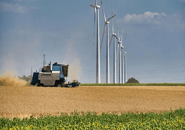 U.S. plans biomass supply chain for Biden's BioManufacturing Initiative 