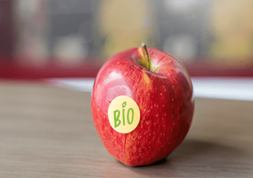 EU PPWR: Bioplastics or renewable plastics, whichever you choose?