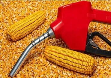 Waste oil feedstock to biofuels Asia and Australia join forces