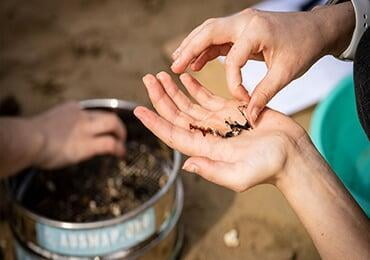 Microplastics are pervasive! Testicles, placenta, heart, blood vessels, brain, lungs ......