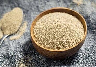 What does yeast "eat" to grow well? "Wood."