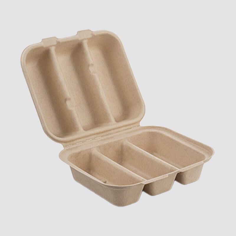 bagasse trays