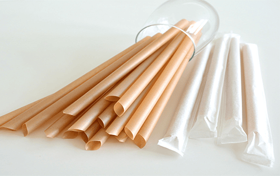 biodegradable coffee straws