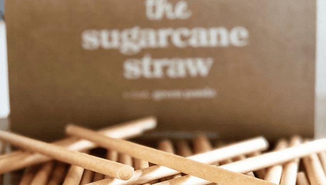 compostable bagasse straw