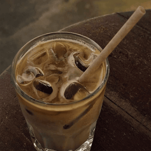 biodegradable coffee straw